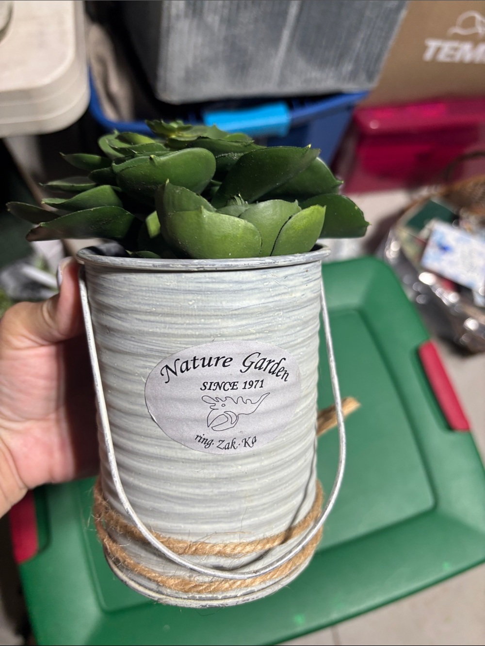 Faux Plant